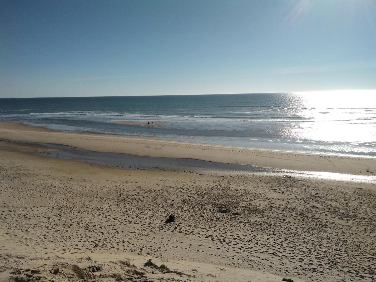 Zenzela Surf House Hotel Naujac-sur-Mer Екстериор снимка